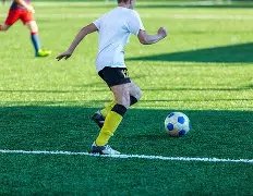 亚冬会第,中国代表团,再获,MG官网,MG电子,MG娱乐,MG注册,MG平台,MG试玩