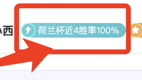 《邮报》曝：受国际赛事影响，纽卡计划赛季末举办英联杯夺冠庆典游行